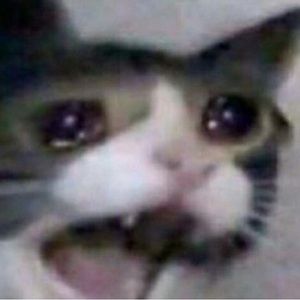 Meet your Posher, Audrey